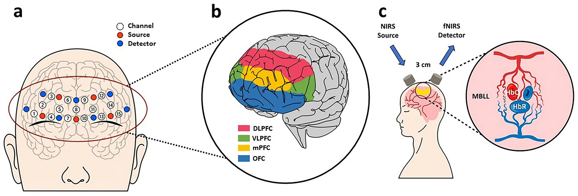 BCI 2026: Shopify Plus Integration Roadmap for Elite CX Cover Image