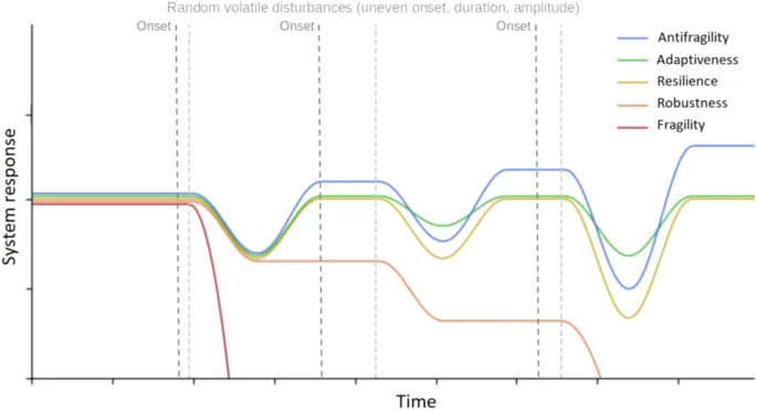 Shopify Plus: Antifragile SEO [Maintenance for Growth] Cover Image